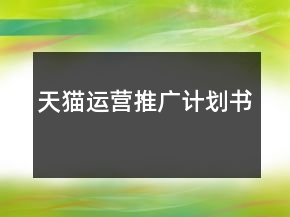 天貓運(yùn)營(yíng)推廣計(jì)劃書