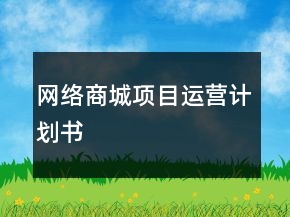網(wǎng)絡(luò)商城項(xiàng)目運(yùn)營(yíng)計(jì)劃書(shū)