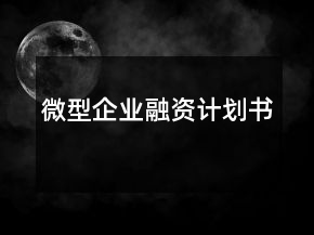 微型企業(yè)融資計劃書