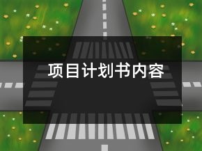 項目計劃書內(nèi)容