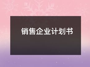銷售企業(yè)計(jì)劃書(shū)