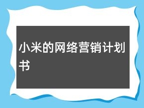 小米的網(wǎng)絡(luò)營銷計劃書