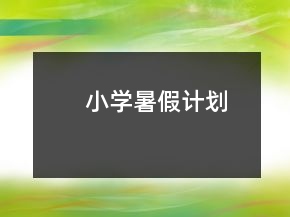 小學(xué)暑假計(jì)劃