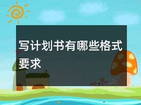 寫(xiě)計(jì)劃書(shū)有哪些格式要求