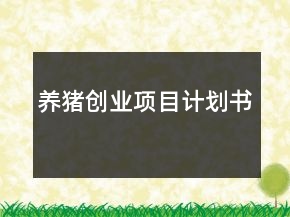 養(yǎng)豬創(chuàng)業(yè)項目計劃書