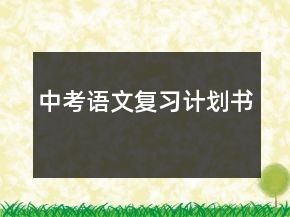 中考語文復(fù)習(xí)計劃書