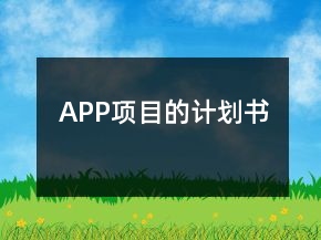 APP項目的計劃書
