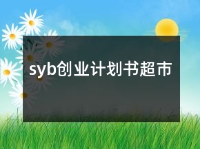 syb創(chuàng)業(yè)計劃書超市
