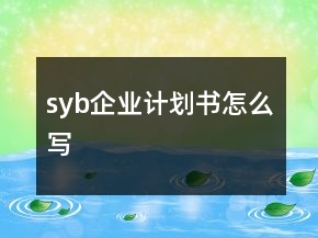 syb企業(yè)計劃書怎么寫