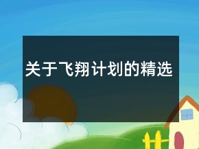 關(guān)于飛翔計劃的精選