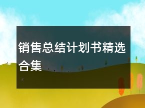 銷售總結(jié)計劃書精選合集