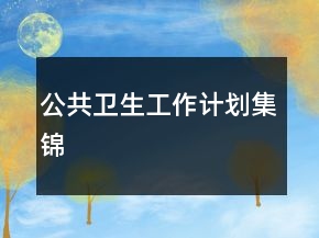 公共衛(wèi)生工作計劃集錦