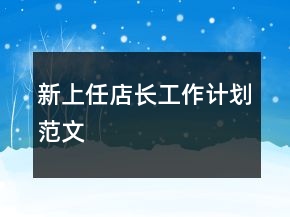 新上任店長工作計劃范文