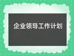 企業(yè)領(lǐng)導工作計劃