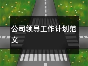 公司領(lǐng)導(dǎo)工作計(jì)劃范文