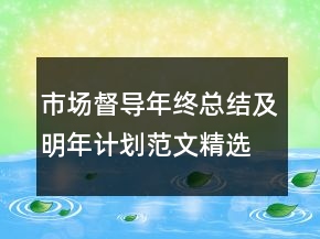 市場(chǎng)督導(dǎo)年終總結(jié)及明年計(jì)劃范文精選