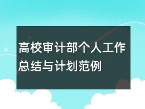 高校審計(jì)部個(gè)人工作總結(jié)與計(jì)劃范例