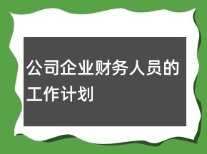 公司企業(yè)財務(wù)人員的工作計劃