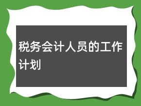 稅務(wù)會計人員的工作計劃