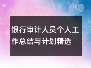 銀行審計(jì)人員個(gè)人工作總結(jié)與計(jì)劃精選