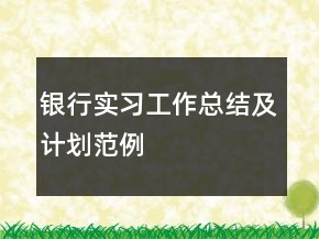 銀行實(shí)習(xí)工作總結(jié)及計(jì)劃范例