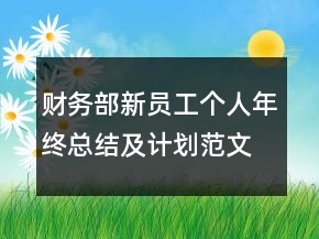 財(cái)務(wù)部新員工個(gè)人年終總結(jié)及計(jì)劃范文