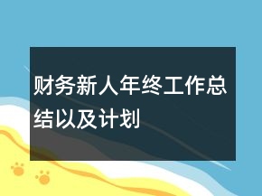 財務(wù)新人年終工作總結(jié)以及計劃