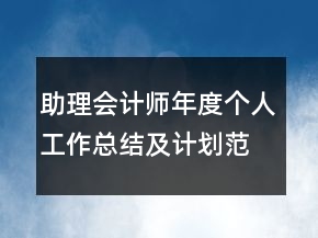 助理會計(jì)師年度個(gè)人工作總結(jié)及計(jì)劃范文模板