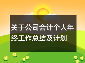 關(guān)于公司會(huì)計(jì)個(gè)人年終工作總結(jié)及計(jì)劃范文精選
