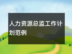 人力資源總監(jiān)工作計(jì)劃范例