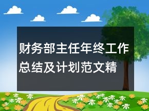財(cái)務(wù)部主任年終工作總結(jié)及計(jì)劃范文精選