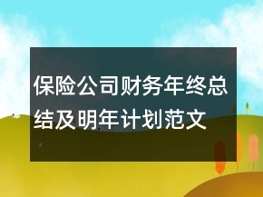 保險公司財務年終總結(jié)及明年計劃范文精選