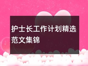 護士長工作計劃精選范文集錦