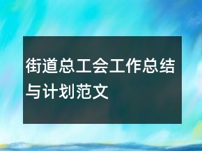 街道總工會(huì)工作總結(jié)與計(jì)劃范文