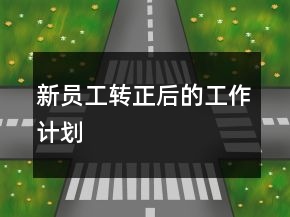 新員工轉(zhuǎn)正后的工作計(jì)劃