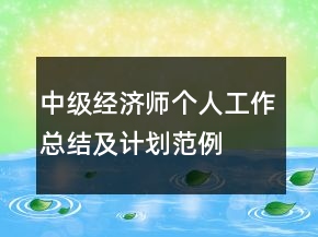 中級(jí)經(jīng)濟(jì)師個(gè)人工作總結(jié)及計(jì)劃范例