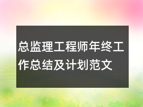 總監(jiān)理工程師年終工作總結(jié)及計(jì)劃范文精選