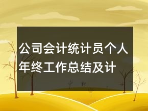公司會(huì)計(jì)統(tǒng)計(jì)員個(gè)人年終工作總結(jié)及計(jì)劃范文精選