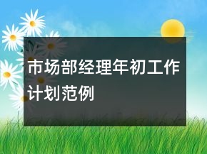 市場(chǎng)部經(jīng)理年初工作計(jì)劃范例