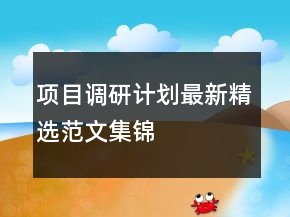 項目調(diào)研計劃最新精選范文集錦