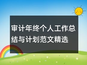 審計年終個人工作總結(jié)與計劃范文精選