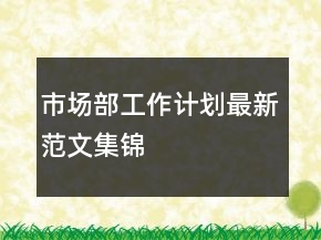 市場(chǎng)部工作計(jì)劃最新范文集錦