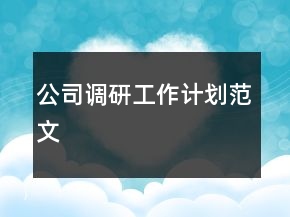 公司調(diào)研工作計劃范文