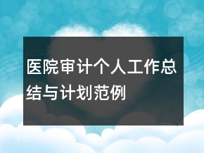 醫(yī)院審計(jì)個人工作總結(jié)與計(jì)劃范例