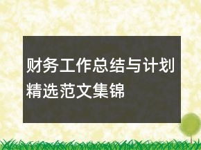財(cái)務(wù)工作總結(jié)與計(jì)劃精選范文集錦