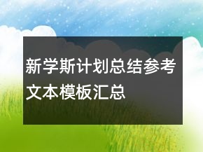 新學斯計劃總結(jié)參考文本模板匯總