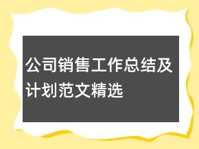 公司銷售工作總結(jié)及計劃范文精選