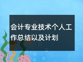 會(huì)計(jì)專(zhuān)業(yè)技術(shù)個(gè)人工作總結(jié)以及計(jì)劃