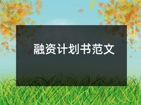 融資計(jì)劃書范文