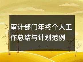 審計(jì)部門年終個(gè)人工作總結(jié)與計(jì)劃范例